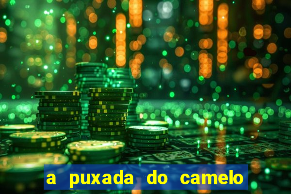 a puxada do camelo no jogo do bicho